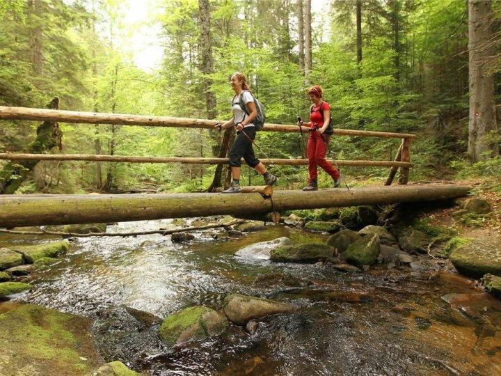 شقة Bolfenk B6 Hočko Pohorje المظهر الخارجي الصورة